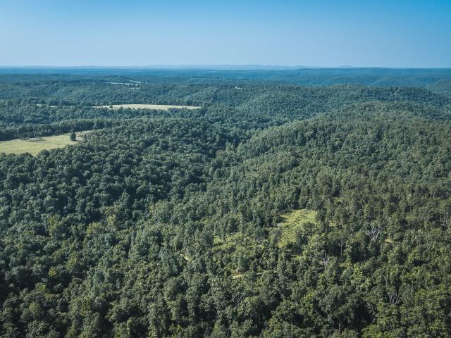 Land for sale in Norwood, Missouri