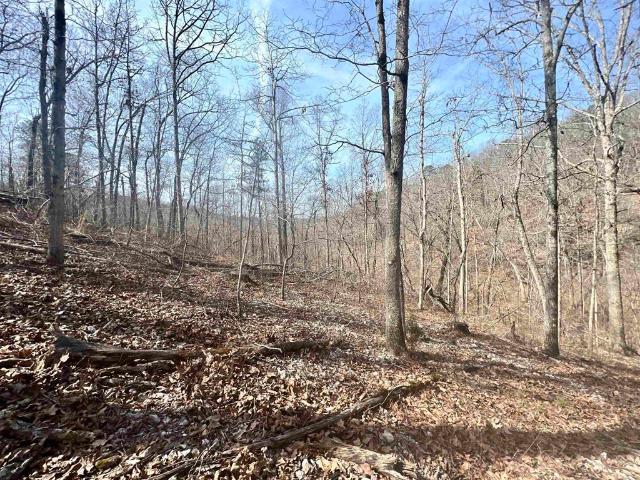 Land for sale in Ark