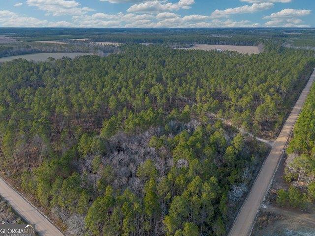 Farm for sale in Odum, Georgia