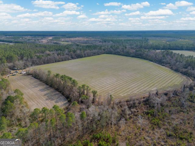 Land for sale in Odum, Georgia