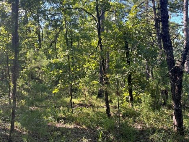 Land for sale in Red Oak, Oklahoma