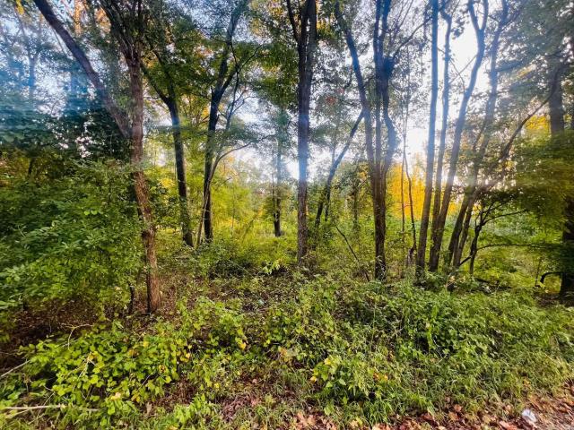 Land for sale in Cabot, Lonoke County