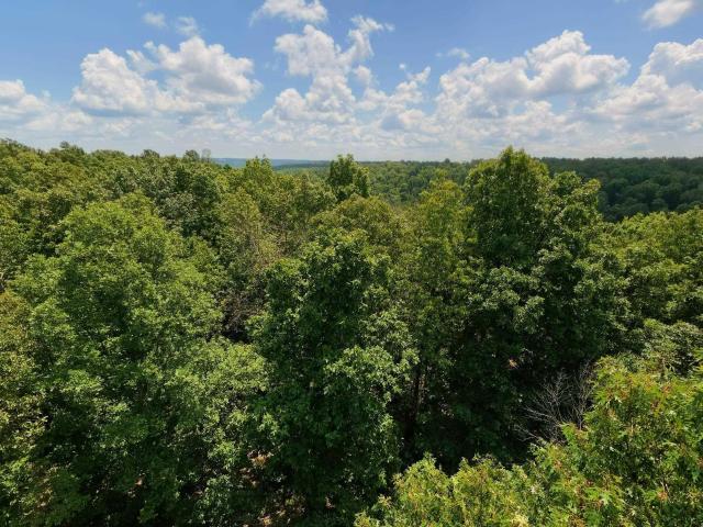 Land for sale in Ark