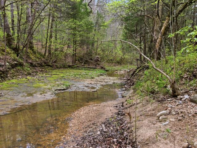 Land for sale in Licking, Missouri