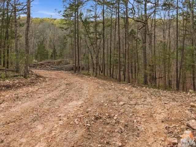 Land for sale in Licking, Missouri