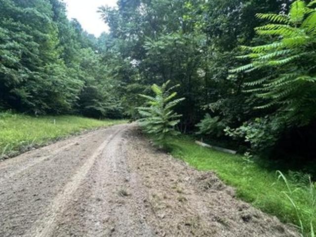 Land for sale in Whitley City, Kentucky