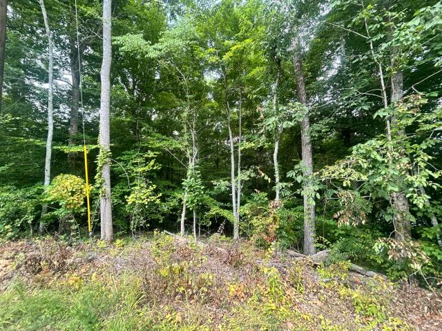 Land for sale in Whitley City, Kentucky