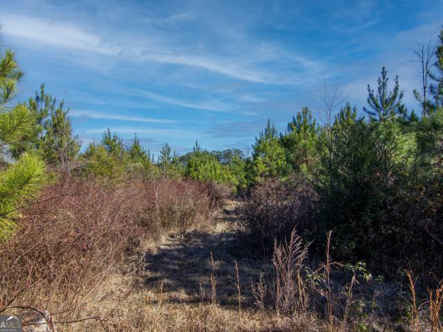 Land for sale in Talbot, Georgia