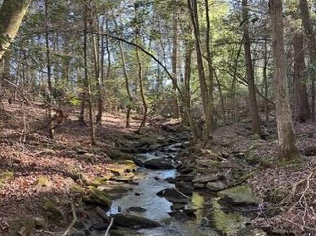 Land for sale in Tennessee