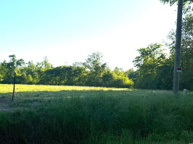 Land for sale in Scranton, South Carolina
