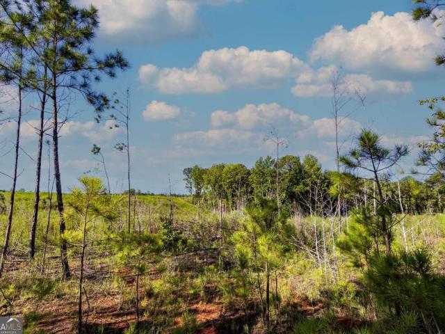 Land for sale in Talbot, Georgia