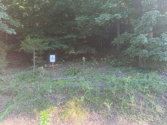 Land for sale in Tennessee