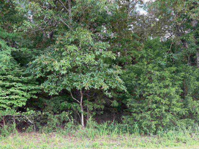 Land for sale in Ark
