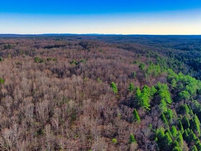 Land for sale in Tennessee