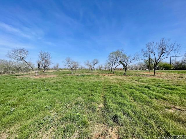 Land for sale in Jourdanton, Texas