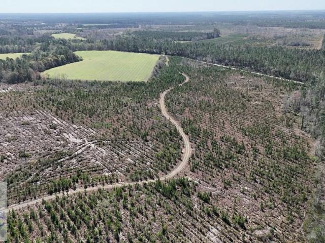 Land for sale in Odum, Wayne County