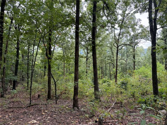 Land for sale in Ark