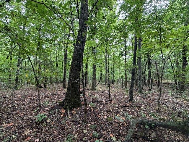Land for sale in Ark