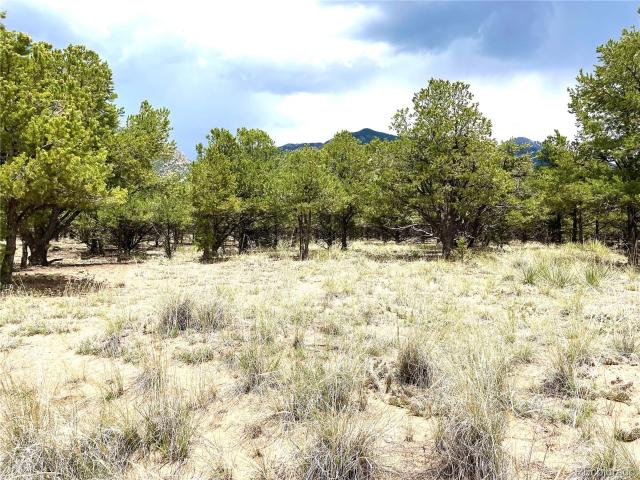 Land for sale in Crestone