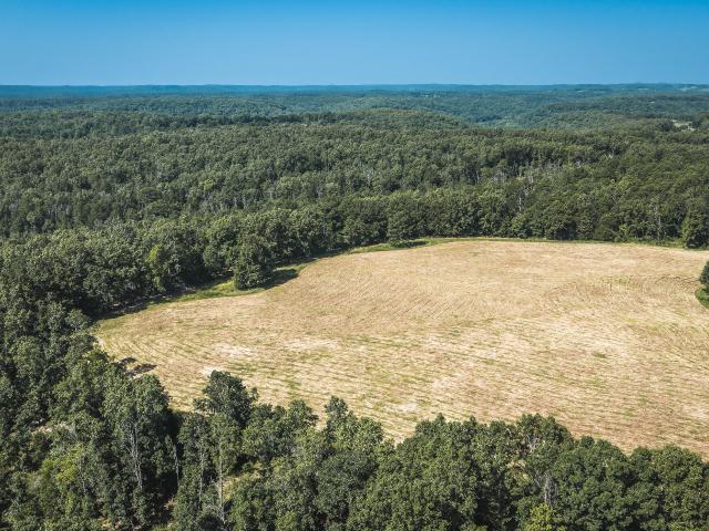 Land for sale in Norwood, Missouri