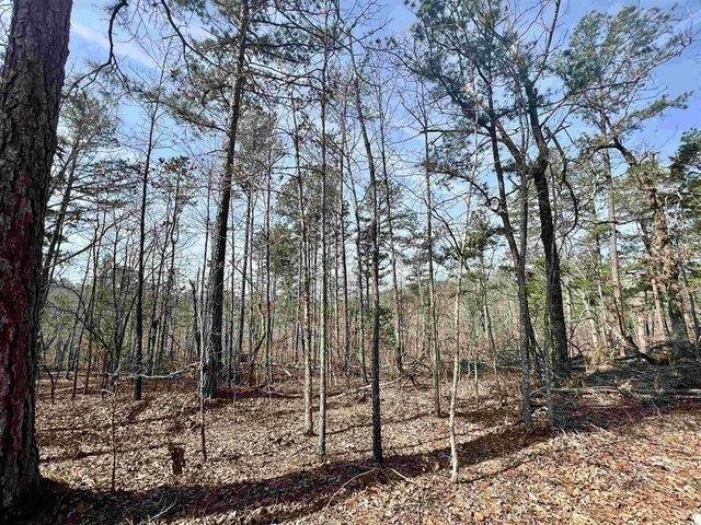Land for sale in Ark