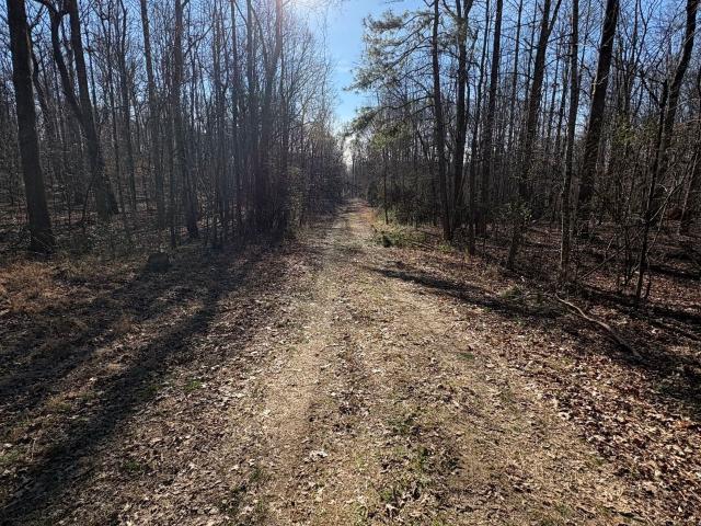 Land for sale in Clarkesville, Habersham County