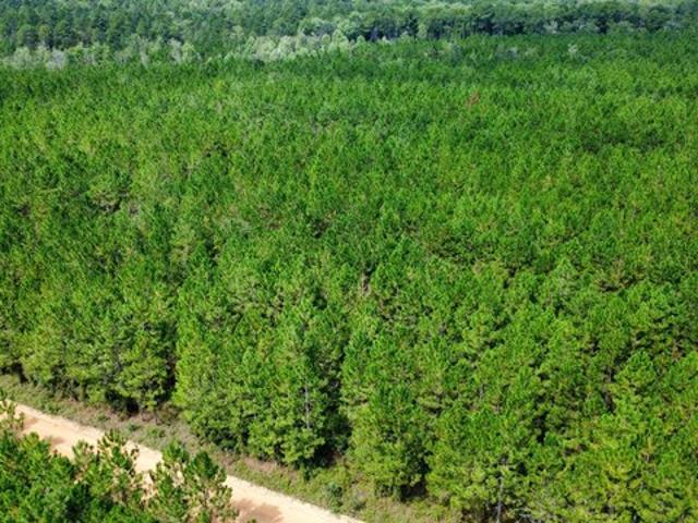 Land for sale in Fitzgerald, Georgia