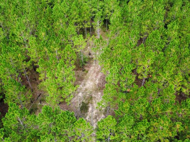 Land for sale in Fitzgerald, Georgia
