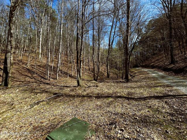 Land for sale in East Tennessee, Tennessee