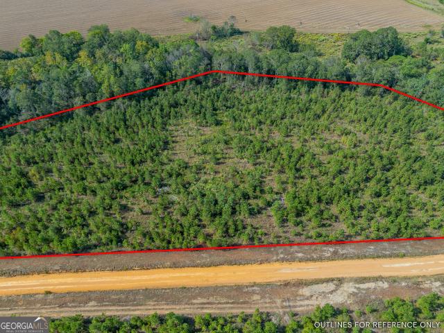 Land for sale in Jacksonville, Georgia