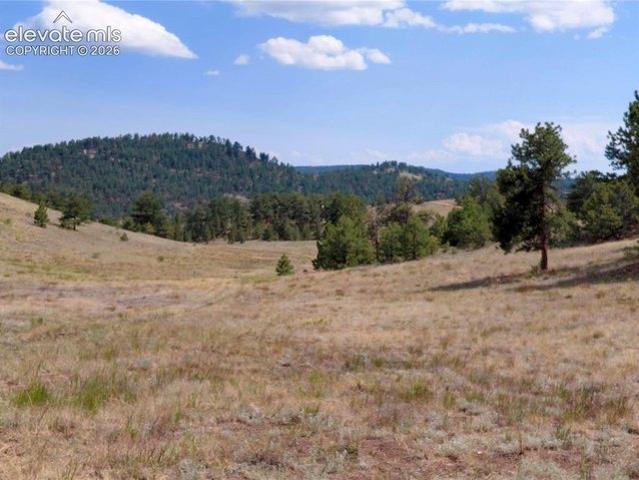 Land for sale in Guffey, Colorado