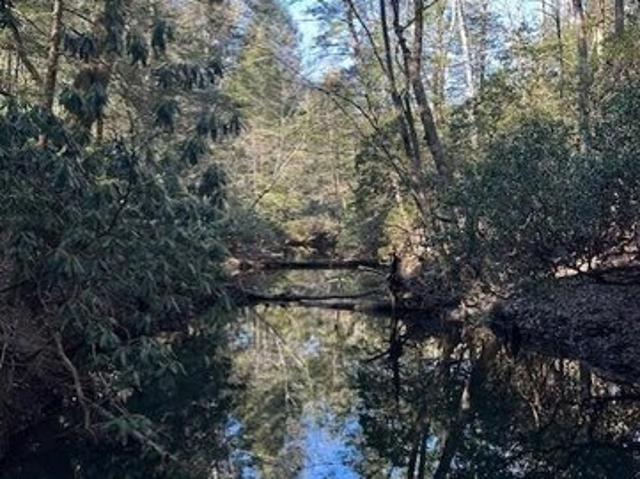Land for sale in Tennessee