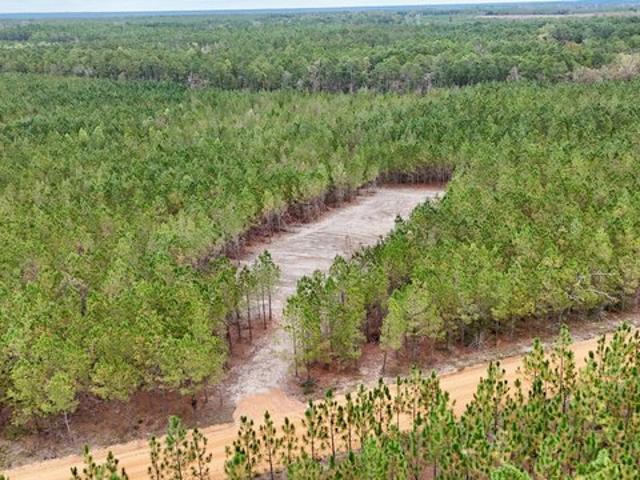 Land for sale in Baxley, Georgia