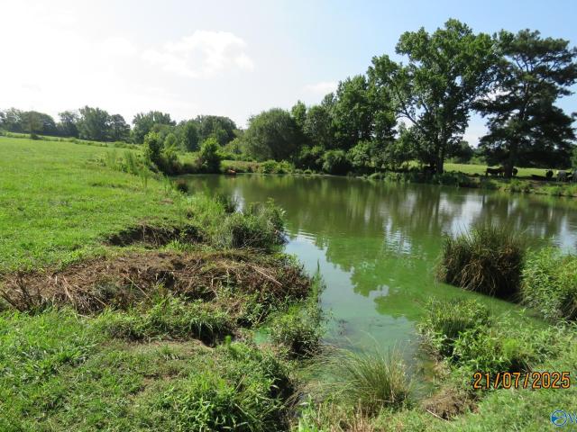 Land for sale in Boaz, Alabama