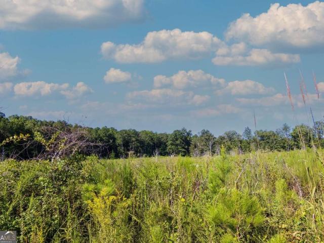 Land for sale in Talbot, Georgia