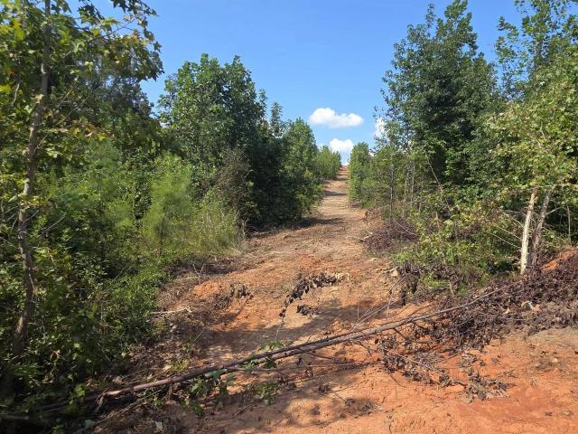 Land for sale in Wedowee, Alabama