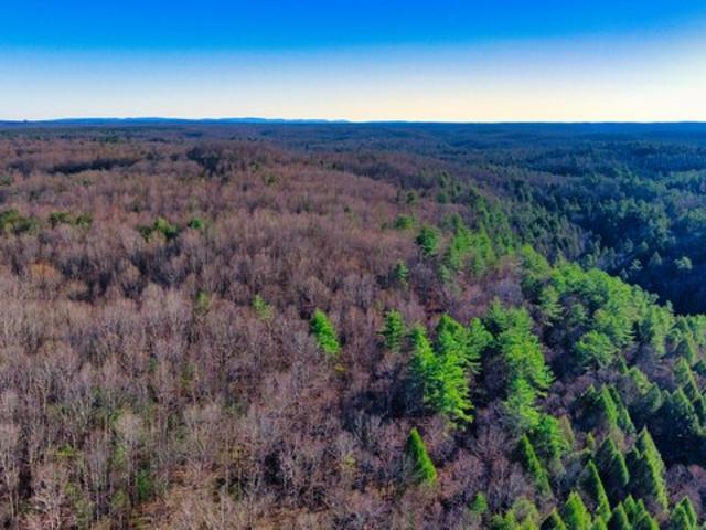 Land for sale in Tennessee