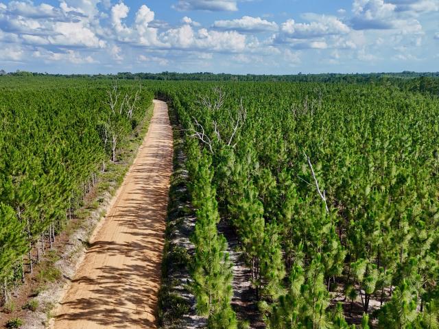 Land for sale in Baxley, Georgia