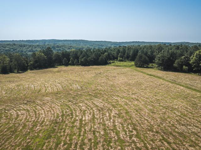 Land for sale in Norwood, Missouri