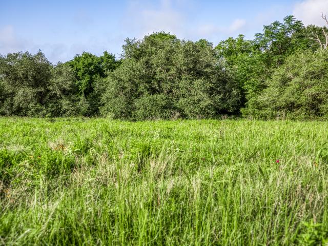 Land for sale in Round Top, Texas