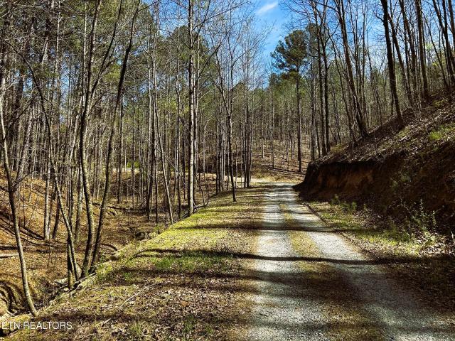 Land for sale in East Tennessee, Tennessee