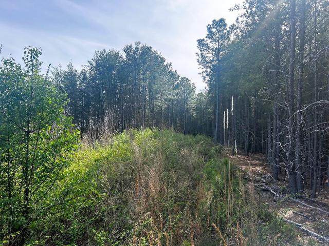 Land for sale in Tennessee