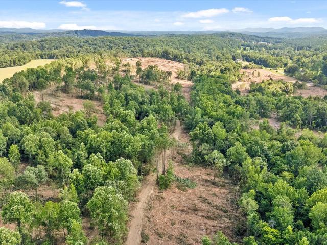 Land for sale in Cohutta, Whitfield County