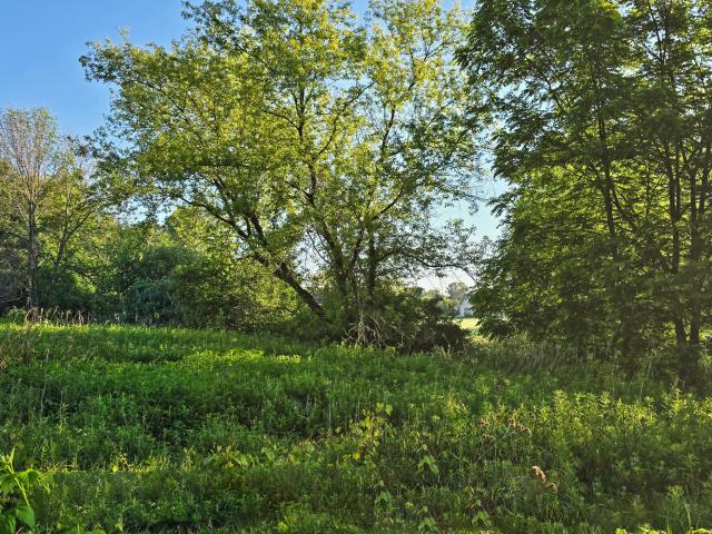 Land for sale in Mishicot, Wisconsin