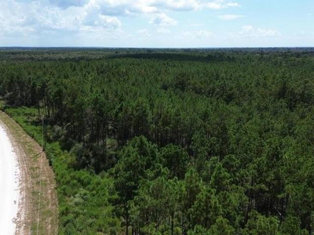 Land for sale in Lovelady, Texas