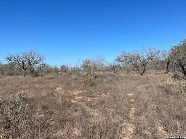 Land for sale in Medina, Texas
