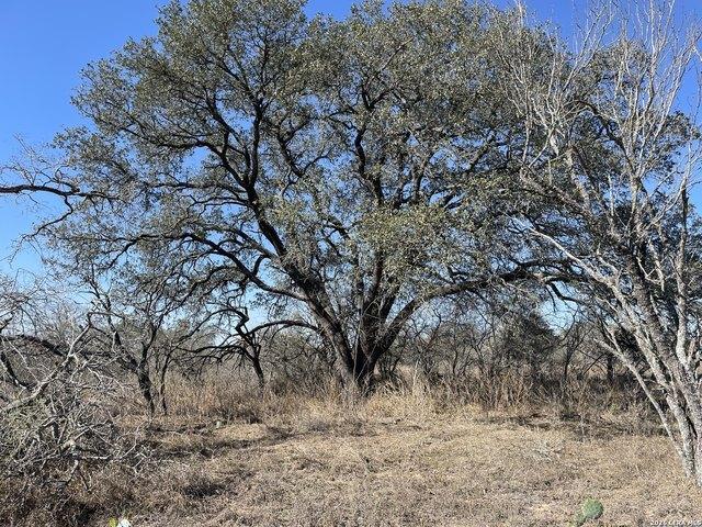 Land for sale in Medina, Texas