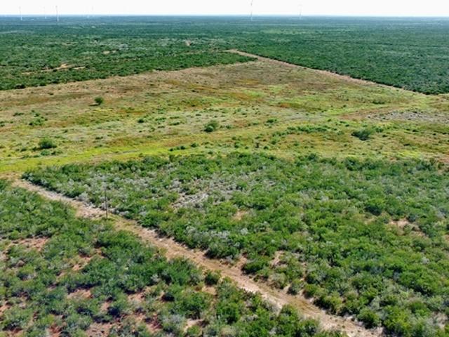 Land for sale in Bruni, Texas