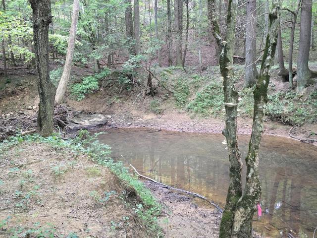 Land for sale in Tennessee
