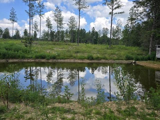 Land for sale in Tennessee